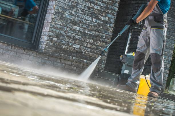 Best Dumpster Area Cleaning  in Oswego, IL